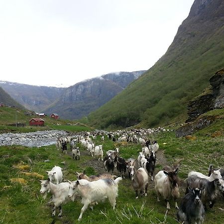 Undredal Gjestehus Hotell Rom bilde