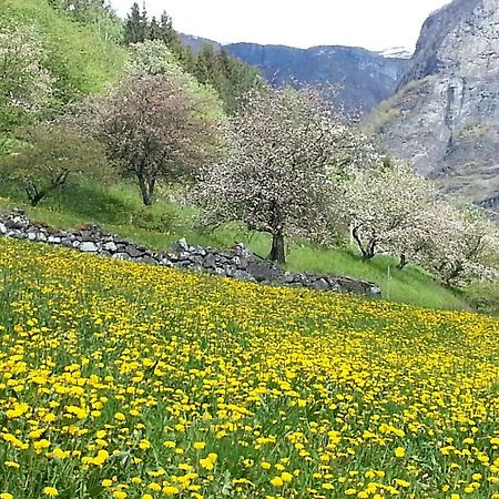 Undredal Gjestehus Hotell Rom bilde