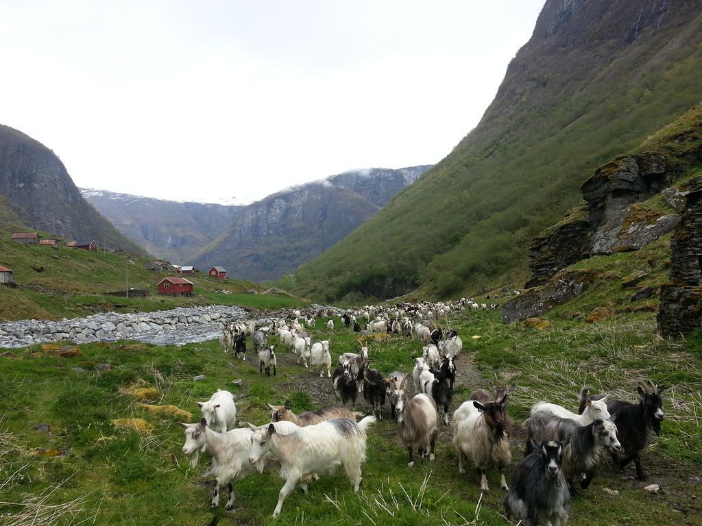 Undredal Gjestehus Hotell Rom bilde