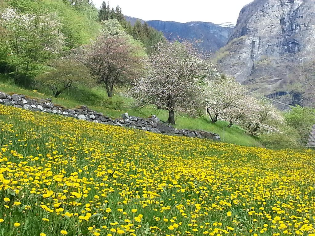 Undredal Gjestehus Hotell Rom bilde